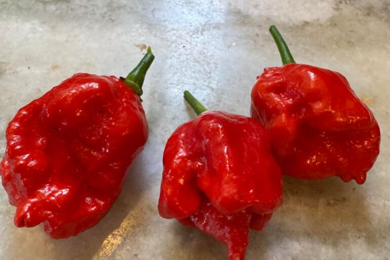 A meager harvest