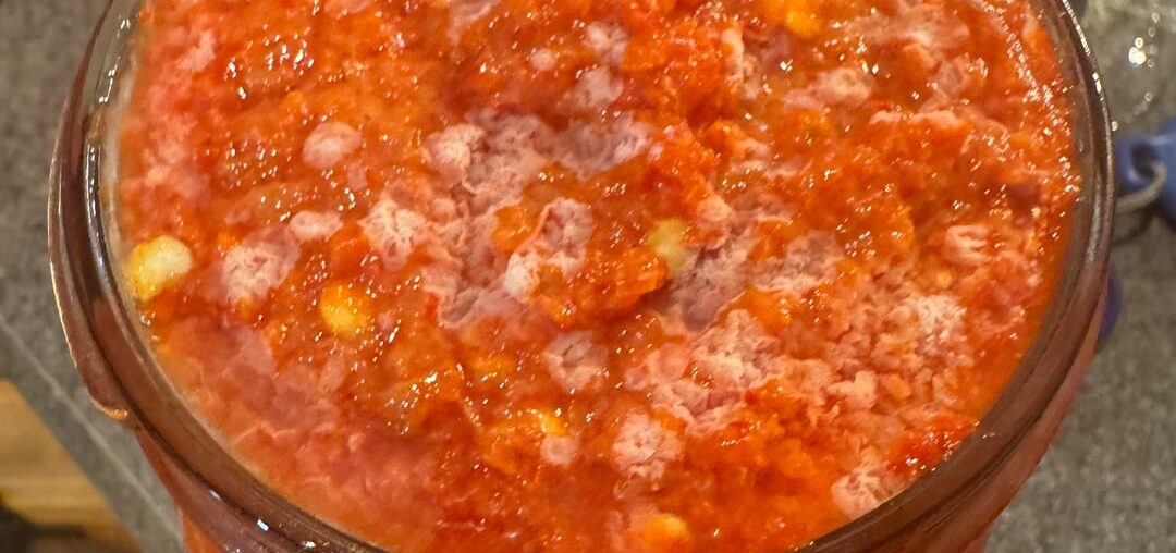 I have these white spots in my sriracha ferment. Am I doomed. Only day 3
