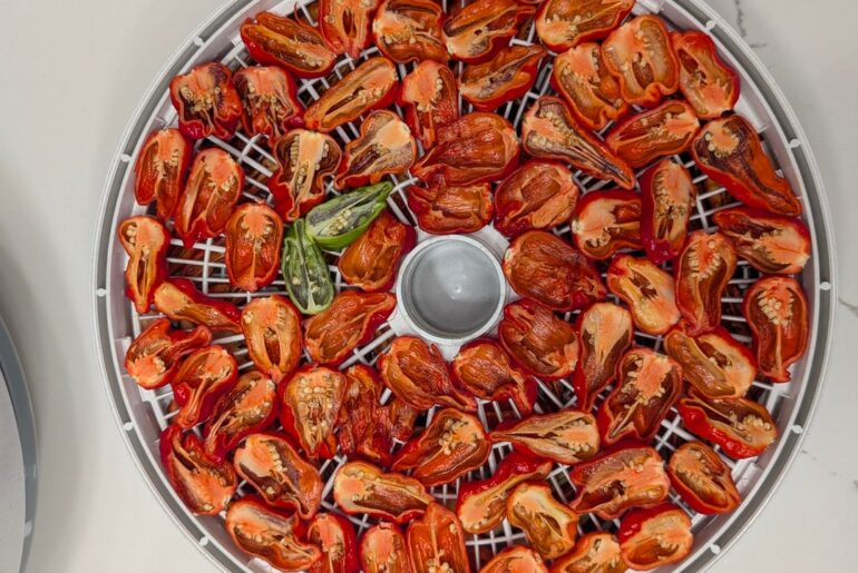 Dehydrating day.