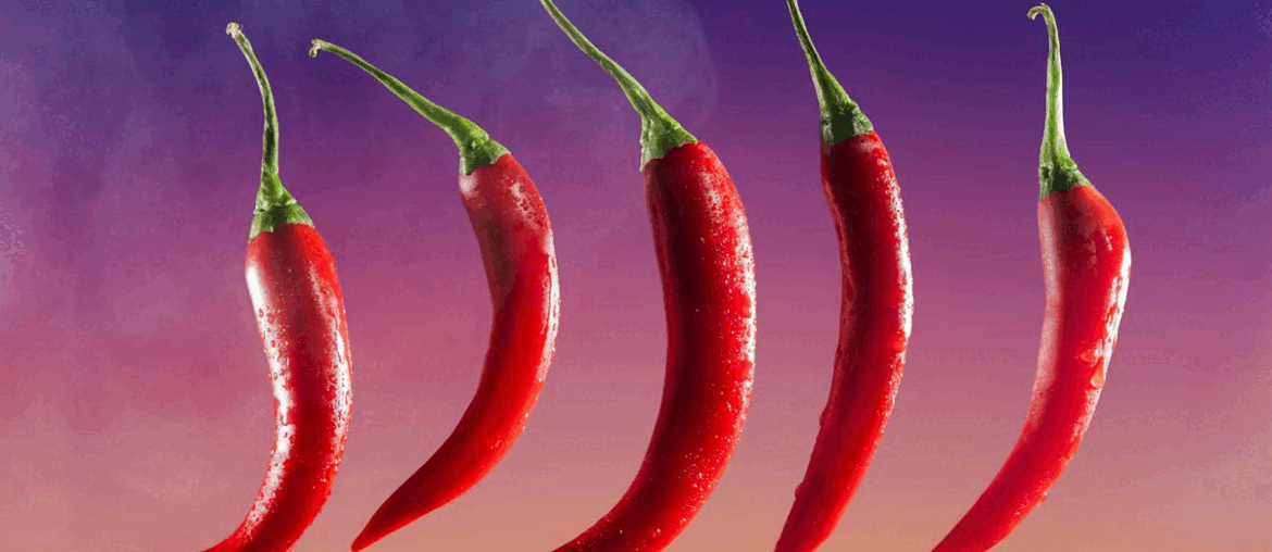 A Guide to Spicy Romance’s Chile-Pepper Ranking Scale