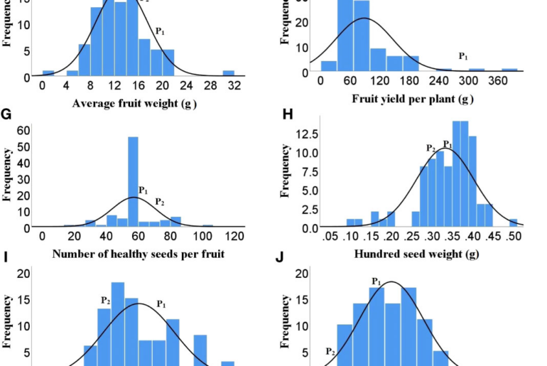 Genetic analysis of heat tolerance in hot pepper: insights from comprehensive phenotyping and QTL mapping