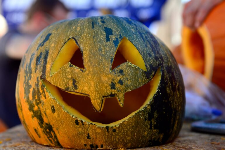 Colorado's bears are feasting on porch pumpkins this fall, CPW warns