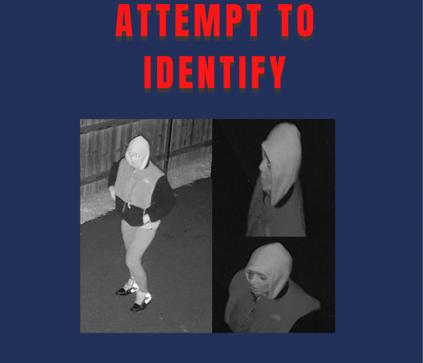 Delaware State Police “Attempt to Identify” flyer featuring three surveillance images of a hooded person. The flyer asks anyone who can identify the person to contact Detective M. Kerrigan at (302) 365-8487 or submit a tip to Delaware Crime Stoppers.