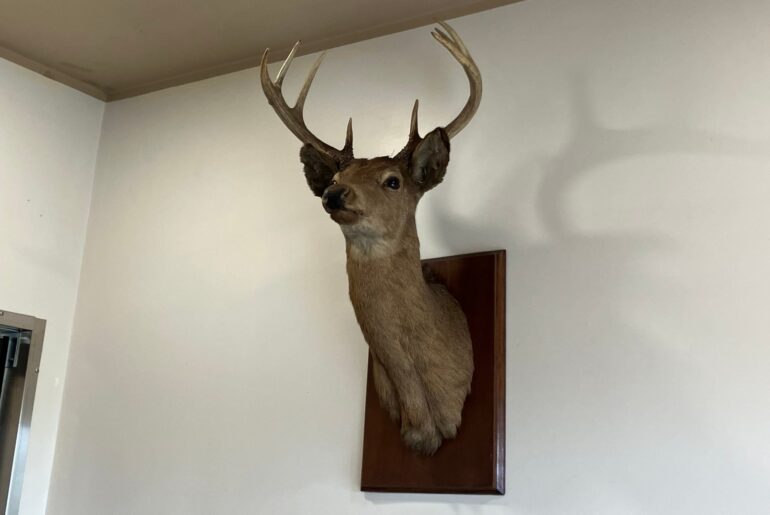 Program shares venison harvest with Lebanon County area food pantries