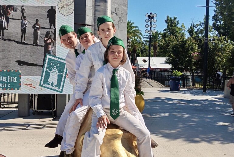 Philly Cheese Please! Support Nevada County 4-H Food Booths