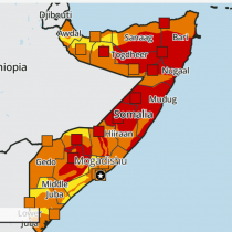 Famine risk grows in southern Somalia as food crisis deepens