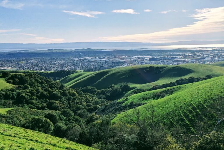 Between San Francisco And San Jose Is A Friendly California City With Gardens, Parks, And Global Eateries