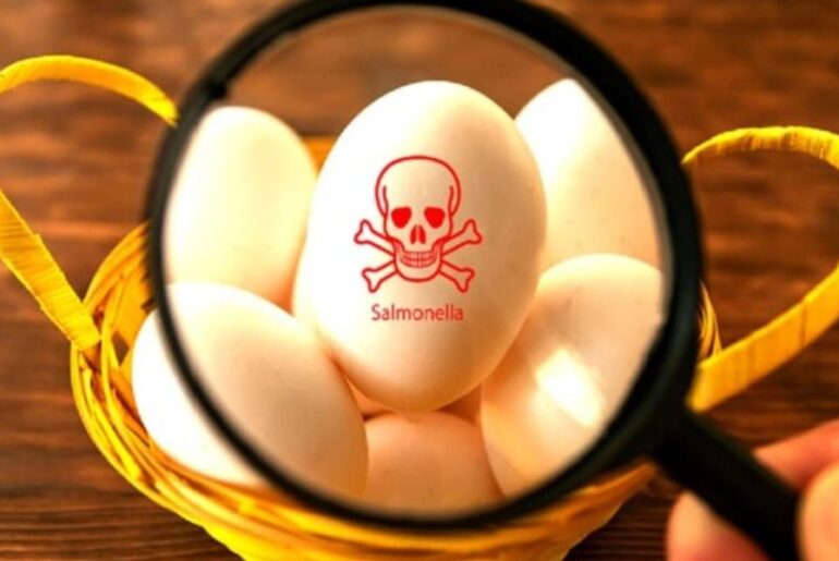 Spanish authorities urged to share Salmonella outbreak details