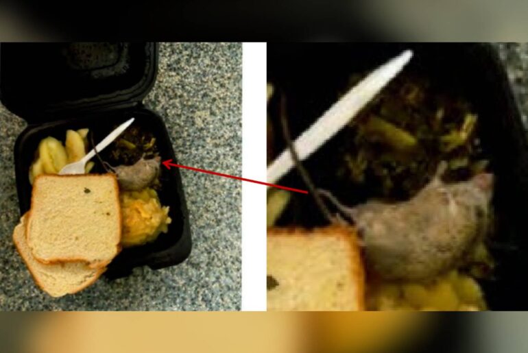 New allegations about a vermin problem at the DC jail: ‘They’re being cooked into the food’ – WTOP News