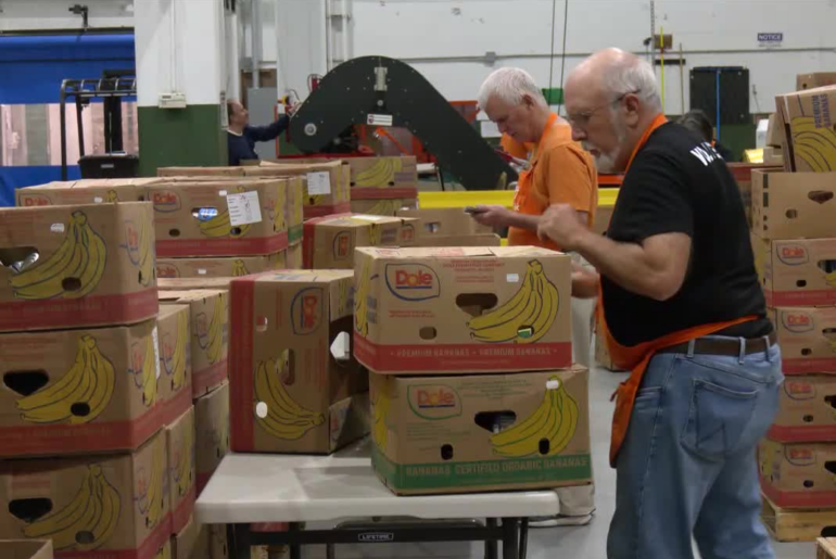 Food sorting at Foodlink