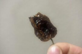 Tried some Chocolate Habanero today.