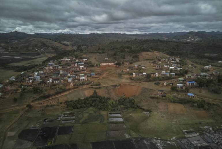 Prized wild pepper at risk in Madagascar’s shrinking forests