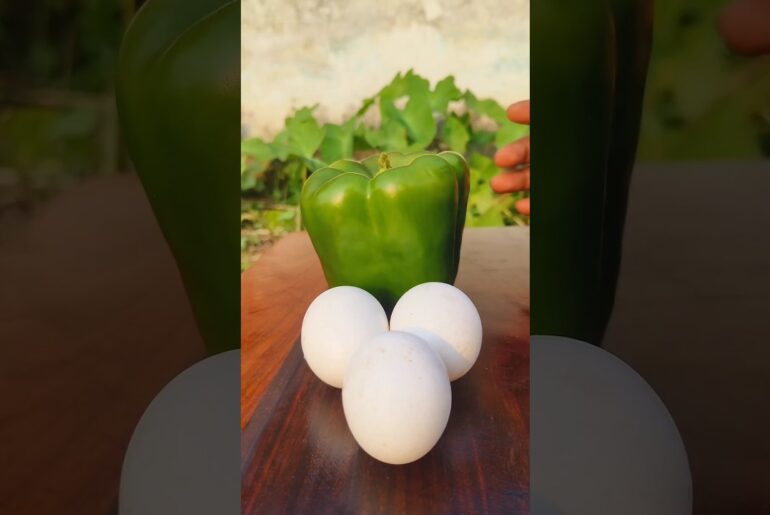 Egg Stuffed Capsicum 🥚🫑 Omelette Recipe! #shorts #capsicum #omelette