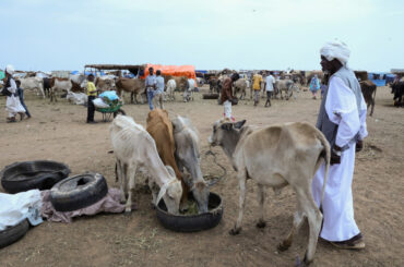 "Dire conditions": New famine risk haunts war-torn Sudan with El Niño-driven drought