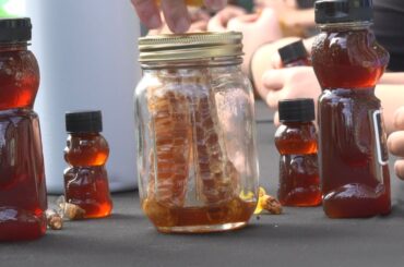 Grand Bear Golf Course shares bees with South Mississippi students