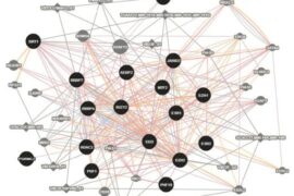 Cancer Killing Mechanism of Pepper Plant Uncovered