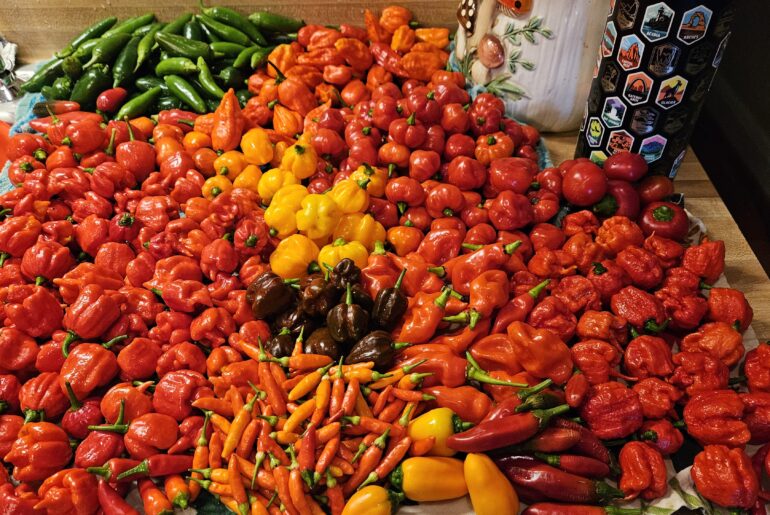Can you name all of the peppers?