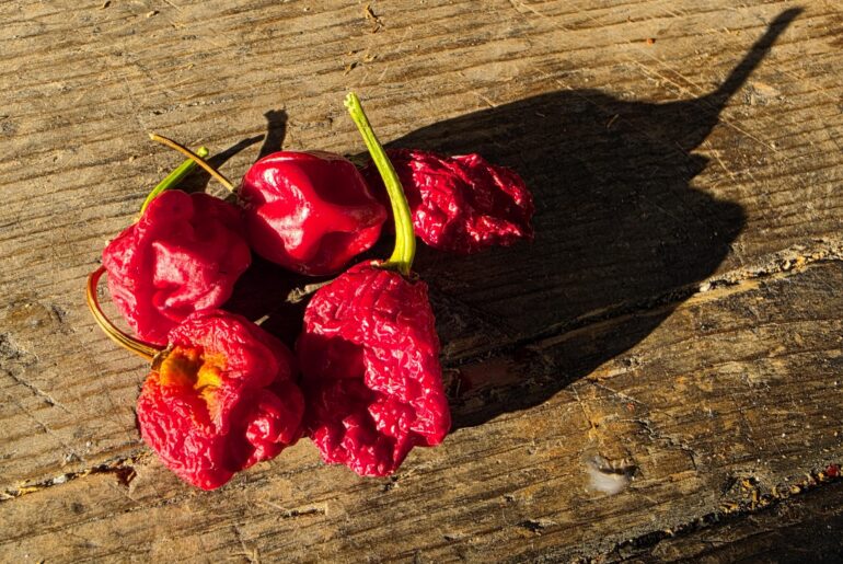 Habanero and scorpion moruga