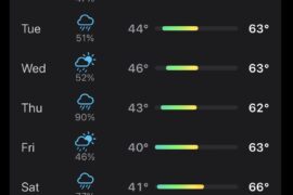Safe to assume I should dig up my overwintering plants this weekend?