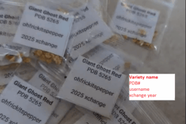 2026 Seed Xchange