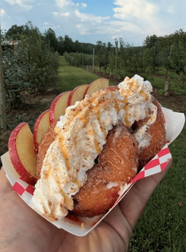 The Cider Donut Delight. Photo courtesy of the N.C. State Fair.
