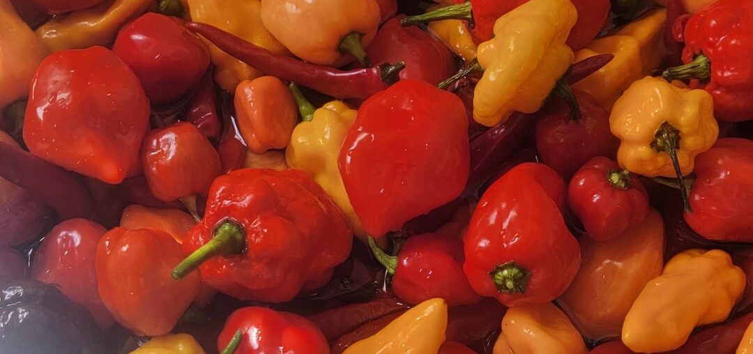 Harvest