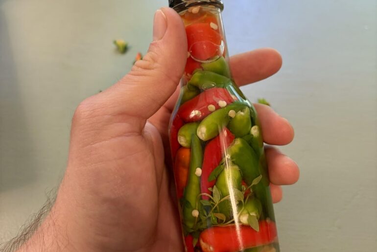 Southern "pepper sauce" using Thai chilis that I grew!