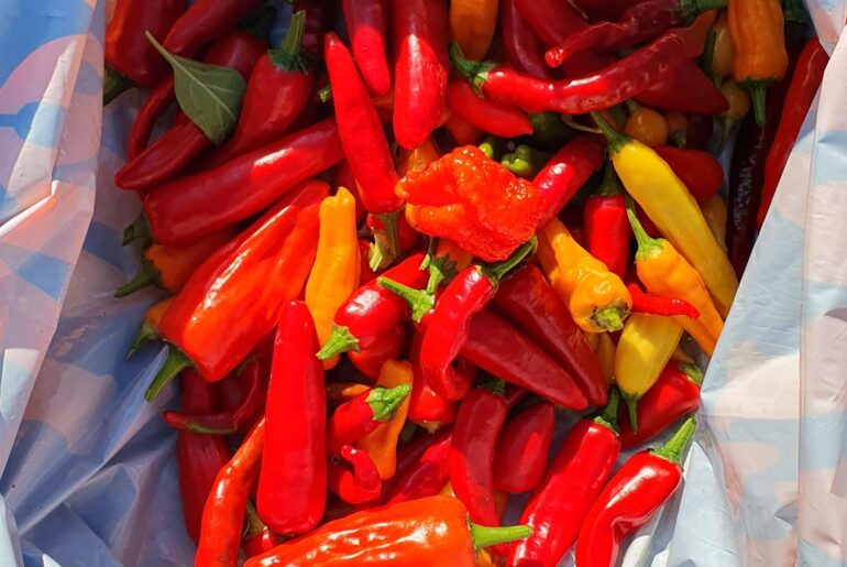 Dads allotment was successful