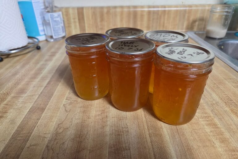 Habanero jam so delicious!
