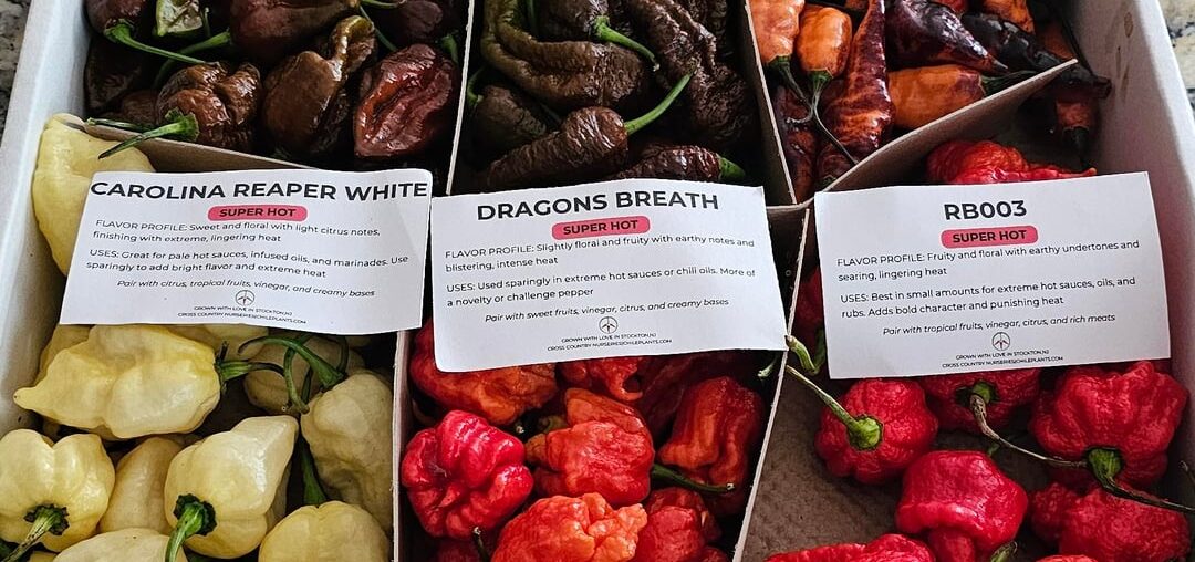 Gonna be a spicy weekend.