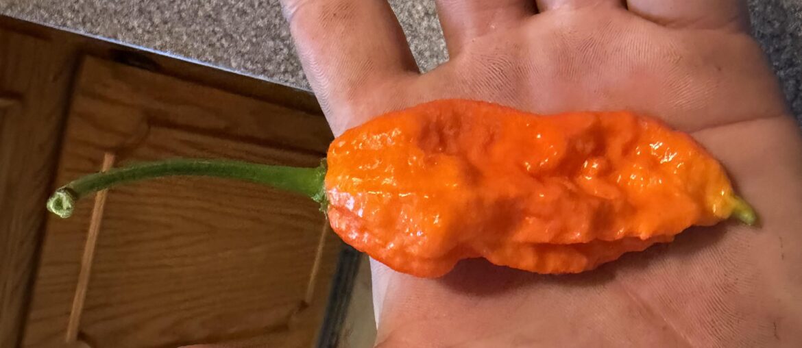Help identify