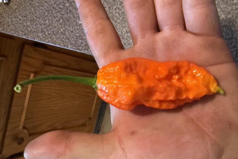Help identify